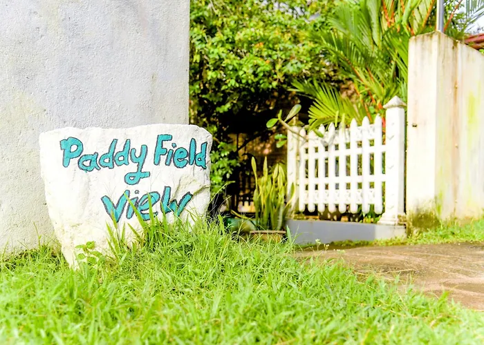 Paddy Field View Resort